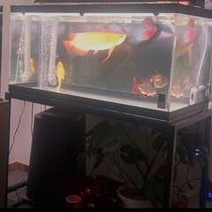1200,600,600水槽セット