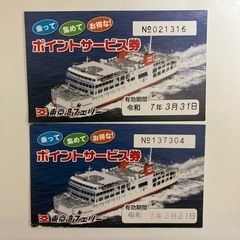 東京湾フェリー　ポイントサービス券2枚