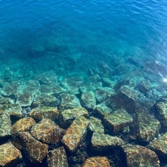 釣り友、バドミントンもしたい