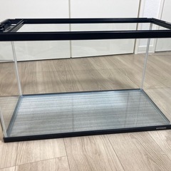 大きめ水槽の画像