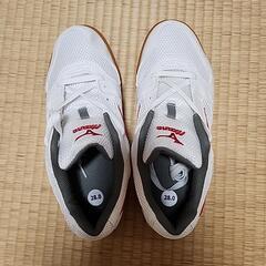 新品未使用　ミズノのシューズ