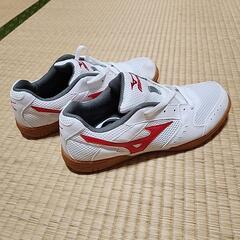 新品未使用　ミズノのシューズの画像