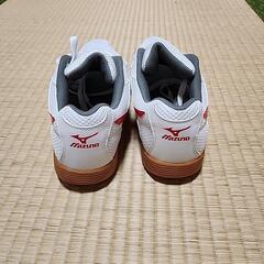 新品未使用　ミズノのシューズの画像