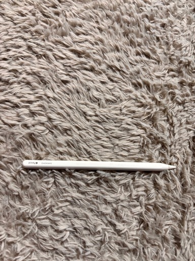 iPad Pro128G決定
