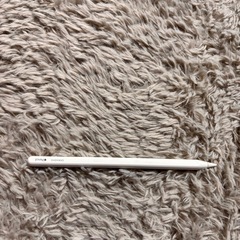 iPad Pro128G決定の画像
