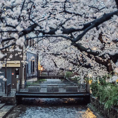 京都の家に2ヶ月無料で滞在しませんか？創作活動をしたい方を募集します。