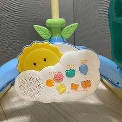 プーメリーの画像