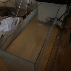 お話し中　ガラス製の水槽