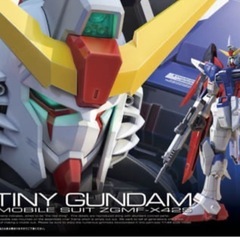 未開封1/144 RG ZGMF-X42S デスティニーガンダム 　