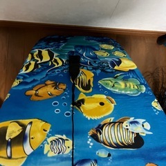 よく分かりませんの画像