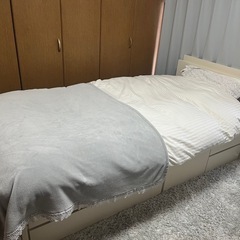シングルベットの画像