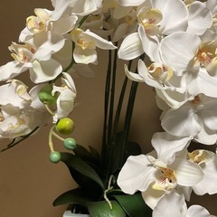 造花 の画像