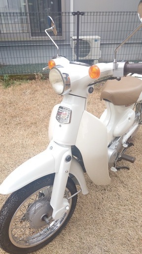 リトルカブ　　決まりました！