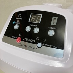 スチーマー　FS300の画像