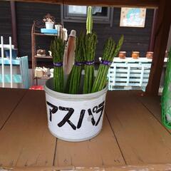 アスパラ、みやまの野菜