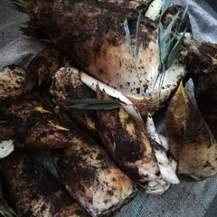 心を込めて旬のチュクスン　