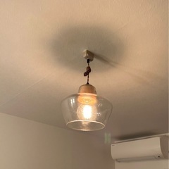 【取引中】ジャーナル　SOPHIA PENDANT LAMP VASE