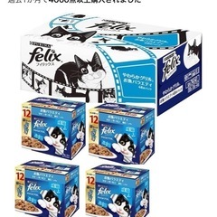 猫ちゃんのfelix
