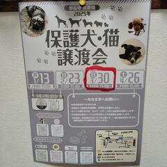 保護犬·猫　譲渡会のお知らせ