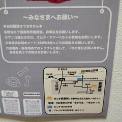 保護犬·猫　譲渡会のお知らせ - 京都市