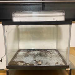 水槽
