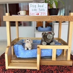 決まりました！犬用ベッド、お部屋