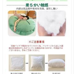 引っ越しの為早急に！2点セットです。亀の甲羅クッション  ぬいぐるみ 60CMサイズ 着用可能 クッション 抱き枕 カメ ぬいぐるみ 座布団 人をダメにする フィット ソファー 動物衣装 背もたれ 2つセットの画像