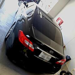 日産 フーガ Y51 250GTの画像