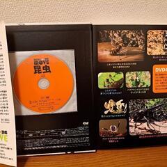 昆虫図鑑　講談社　DVD 付き‼の画像
