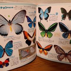 昆虫図鑑　講談社　DVD 付き‼の画像