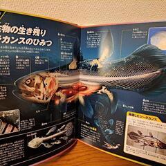 深海の生き物図鑑　講談社　DVD 付き‼の画像
