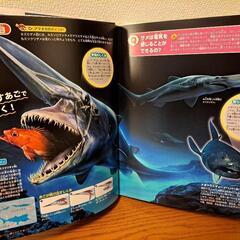 深海の生き物図鑑　講談社　DVD 付き‼の画像