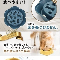 決まりました⭐︎　早食い防止 食器 犬 【獣医師監修】 フードボウルエサの画像
