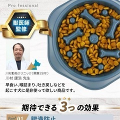 決まりました⭐︎　早食い防止 食器 犬 【獣医師監修】 フードボウルエサの画像