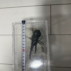 ヘラクレスオオカブトの画像