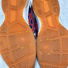 体育館シューズの画像