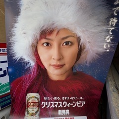奥菜恵 ポスター