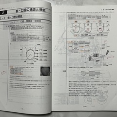 歯科衛生士
国試の麗人 の画像