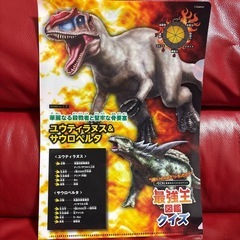 クリアファイル　4枚セット　恐竜の画像