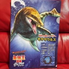 クリアファイル　4枚セット　恐竜の画像