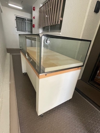 ガラスショーケース