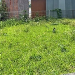 草刈り･芝刈り - 古河市