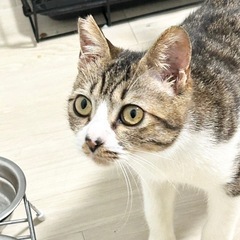 スリスリ超甘えん坊男子