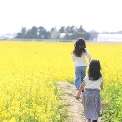 🌼菜の花撮影会🌼