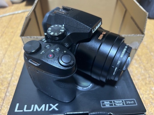 LUMIX DMC-FZ300 シャッター回数938回23年10月購入 (tre) 小作の