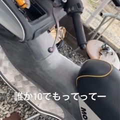 ホンダ
フォルツァ250スクーターの画像