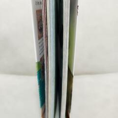 中古美品　ちがいがわかる　いきもの図鑑の画像