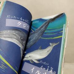 中古美品　ちがいがわかる　いきもの図鑑の画像