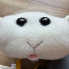 モルカーのリュックサックの画像