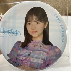 日向坂46 正源子陽子